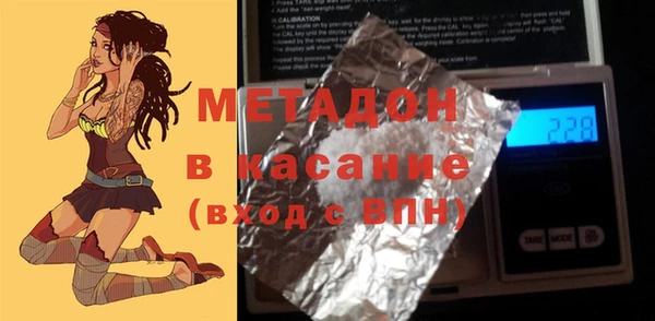 прущие грибы Бородино