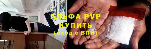 прущие грибы Бородино