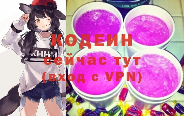 прущие грибы Бородино