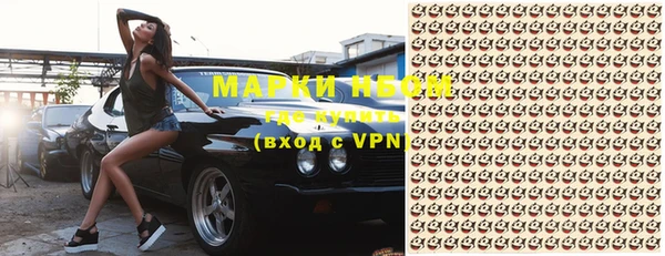 прущие грибы Бородино