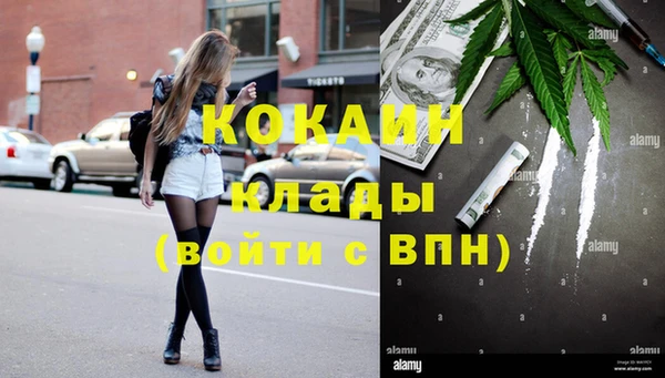 прущие грибы Бородино