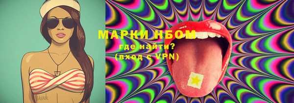прущие грибы Бородино