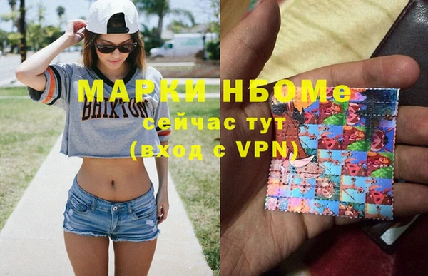 прущие грибы Бородино