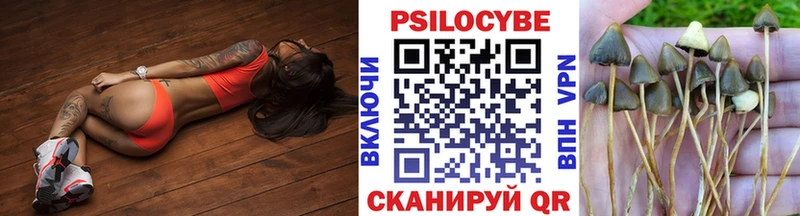 Псилоцибиновые грибы мухоморы  ОМГ ОМГ маркетплейс  Гороховец  наркошоп 